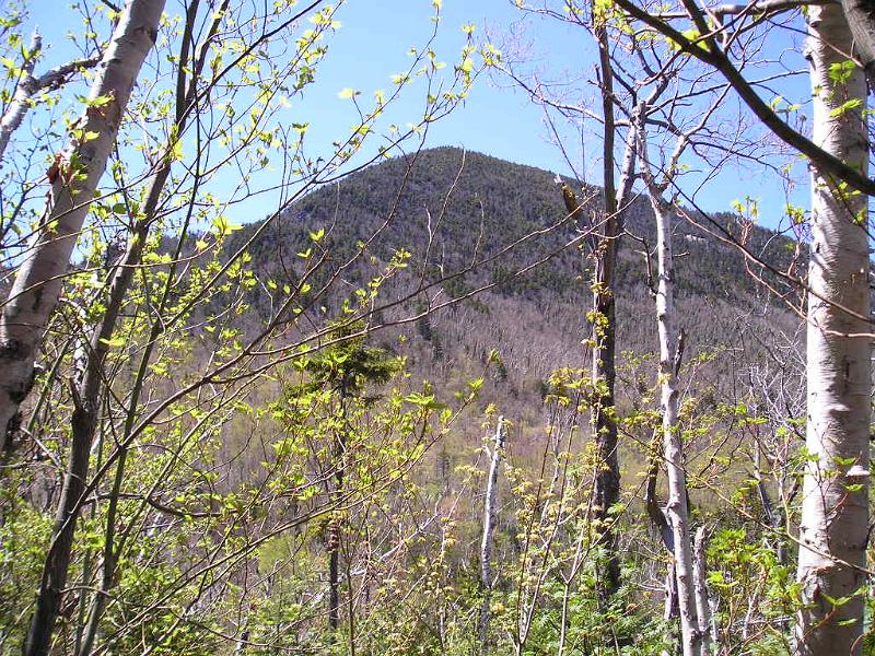 SquareLedge (20).JPG - We had a nice view of Mt. Passaconaway from here. It's only 1 mile to the top, but it's a steep mile.
